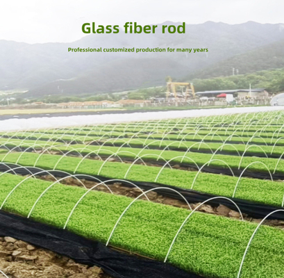 Thanh sợi thủy tinh chất lượng cao để hỗ trợ đường hầm nhà kính nông nghiệp